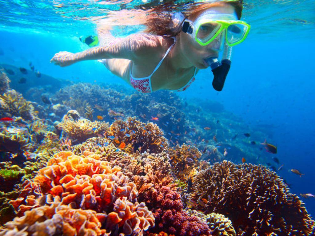 Shiralea Backpackers Resort Haad Yao Luaran gambar